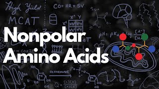 Nonpolar Amino Acids Aliphatic and Aromatic  MCAT [upl. by Marrilee]