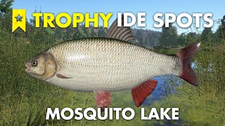 Russian Fishing 4 TROPHY IDE SPOT Mosquito Lake [upl. by Yelsew768]