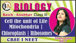 CELL THE UNIT OF LIFEMITOCHONDRIA CHLOROPLASTS RIBOSOMES CLASS XI BIOLOGY NEET 2025 [upl. by Truitt]