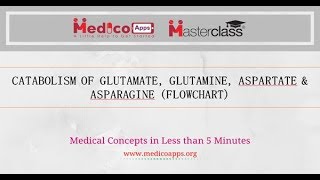 CATABOLISM OF ASPARTATE ASPARAGINE amp GLUTAMATE GLUTAMINE [upl. by Affay]