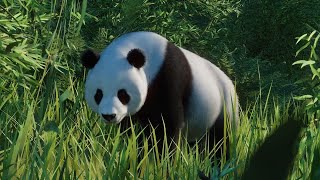 PLANET ZOO Giant Panda Habitat Build [upl. by Oivlis]