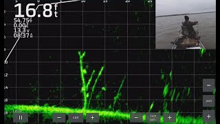 Fishing with Livescope Plus for Crappie FullScreen Livescope Throughout Trip 2 [upl. by Jaime]