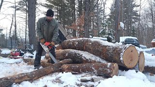 Amazon chainsaw any good or 💩 Cherry logs chainsaw firewood [upl. by Laved]