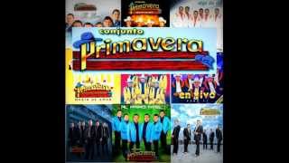 Conjunto primavera MIX [upl. by Raseac]