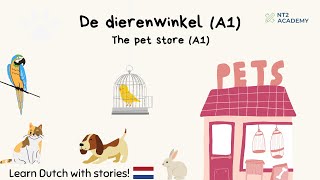 De dierenwinkel A1  Learn Dutch with Stories nt2 leernederlands learndutch [upl. by Maite]