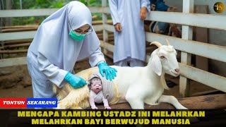 Diluar Nalar  Kambing Seorang Alim Ini Melahirkan Bayi Manusia [upl. by Leese]