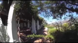 Smallholding Lifestyle Olive Guest Farm Villiersdorp AGF0161 [upl. by Nayt267]