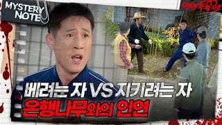 미스터리 노트 베려는 자 VS 지키려는 자 은행나무와의 인연｜미스터리노트 MBC981113방송 [upl. by Negem]