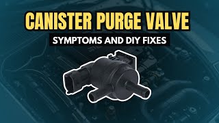 I Fixed My Cars Canister Purge Valve MYSELF and You Can Too [upl. by Naylor435]