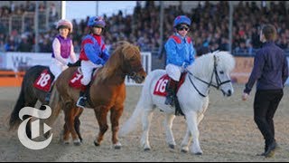 Shetland Pony Grand National  OpDocs  The New York Times [upl. by Aneetsirk]