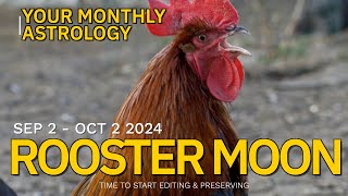 Chinese Lunar Astrology Sept 2  Oct 2 2024 The Rooster Moon [upl. by Varden495]