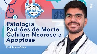 Patologia  Padrões de Morte Celular Necrose e Apoptose  Ciclo Básico do Zero [upl. by Clerissa]