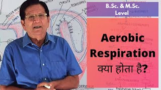 What Is Aerobic Respiration  BSc amp MSc Level [upl. by Tare]