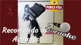 Recorrendo Os Aguapés  karaokê  MÚSICA ORIGINAL SEM VOZ c letra  Porca Véia [upl. by Karol952]