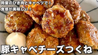 豚ひき肉とキャベツで簡単ボリューミー！食感が美味しい！豚キャベチーズつくねの作り方 [upl. by Allicsirp]