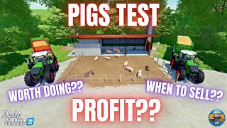 PIGS TEST  Farming Simulator 22 [upl. by Mateya]