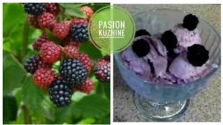 Akullore me Manaferra e Pana👌  How to make Raspberry Ice Cream at home [upl. by Awahsoj]