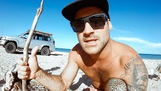 YBS Lifestyle Ep 49  Spearfishing BIG Mackerel And Jobfish  Crazy Sharks  Catch And Cook [upl. by Eward981]