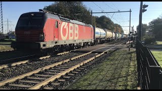 Austria 🇦🇹 Railways OBB Cargo Freight Train in the Netherlands 🇳🇱 Open Railroad Market in Europe [upl. by Tilly]