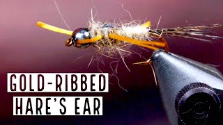 Gold Ribbed Hares Ear Nymph Fly Pattern Fly Tying Tutorial [upl. by Annavoig]