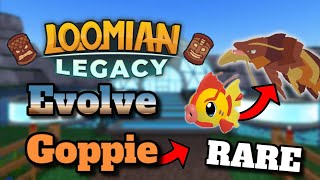 HOW TO EVOLVE GOPPIE GLIMMERING SCALE IN LOOMIAN LEGACY  Loomian Legacy [upl. by Notrom219]