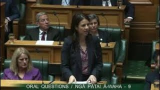 Erica Stanford calls Jan Tinetti a quotStupid Bitchquot in parliament She was right [upl. by Sloatman]