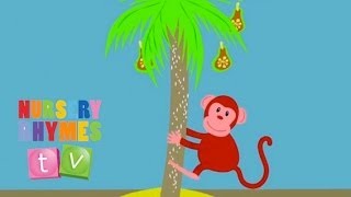 MONKEY  Original Song  Nursery Rhymes TV  English Songs For Kids [upl. by Leontyne]