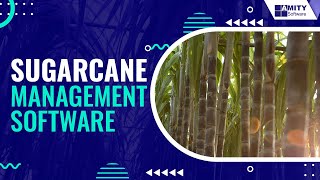 Sugarcane Management Software [upl. by Anazus]