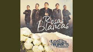 Rosas Blancas [upl. by September663]