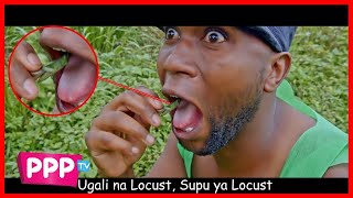 LOCUST PARODY  INNOSSB FT DIAMOND PLATNUMZ YOPE REMIX [upl. by Lleraj]