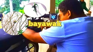 BAYAWAK NAKA DALI MAY KANUGTOG PA AIRGUN HUNTING PEST CONTROL [upl. by Ryter]