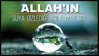 ALLAH IN SUYA VERDİĞİ BÜYÜK GİZEM KEŞFEDİLDİ [upl. by Sutelc725]