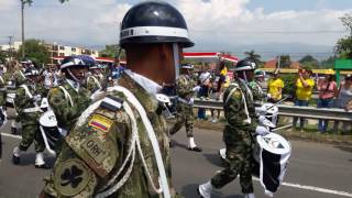 EJÉRCITO DE COLOMBIA 20 de Julio 2017 Cali  Colombia [upl. by Ydassac95]