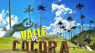 Las palmas gigantes del Cocora valley Colombia tour 🇨🇴 [upl. by Carri2]