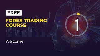 The Best Forex Trading for Beginners Course  Lesson 1 [upl. by Fry]