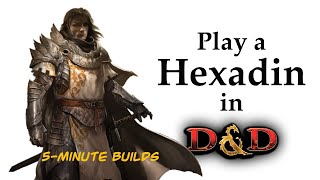 The Hexadin 5Minute Builds [upl. by Elconin710]