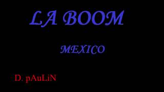 La boom Mexico  Aniversario  Lo mejor del 9505 [upl. by Babbette]