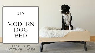 How to Build a Modern Elevated Dog Bed with plywood  2x2s [upl. by Gwenn]