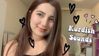 Learn how to pronounce the Kurdish sounds Sorani [upl. by Nadbus869]