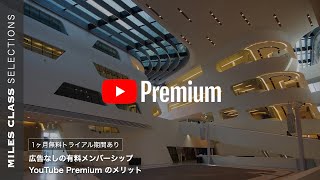 YouTubeプレミアムのメリットとおすすめ料金プラン [upl. by Cassaundra]