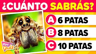 Preguntas que deberías Saber 🤓🧠📚  Nivel Fácil  Cultura General  PlayQuiz Trivia [upl. by Welcher241]