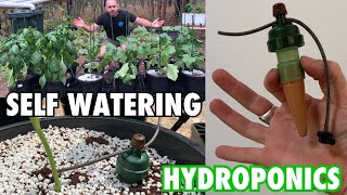 Drip irrigation system slowly 😋 plastic bottle self gravity watering for the garden plants pots [upl. by Alejandra]