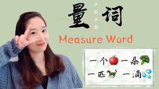 量词 Measure Word中文学习中文基础语法日常量词用法 [upl. by Tteltrab]