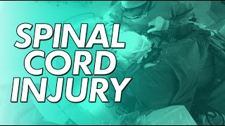 Spinal Cord Injury  diagnosis treatment recovery [upl. by Ijat904]