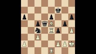 Portisch Lajos vs Bobby Fischer [upl. by Anahgem]