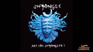 Shpongle  Are You Shpongled FULL ALBUM [upl. by Sabas]