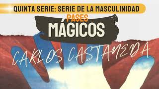 5A SERIE Serie de la masculinidad  Pases mágicos  Carlos Castaneda [upl. by Skinner182]