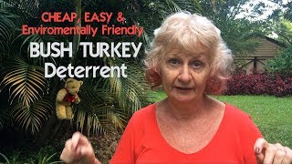 Easy Bush Turkeys deterrent 1 [upl. by Ellingston]