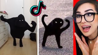 Tik Tok LOOKALIKE Meme Challenge [upl. by Sherburn]