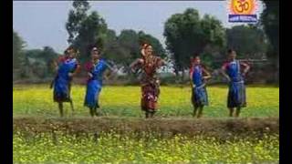 HALDI GINA  The Golden Sambalpuri Hit [upl. by Traweek]